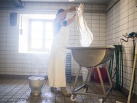 Die Wirtschaft begrünen