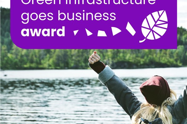 Green Infrastructure goes business