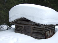 Naturkapital Deutschland