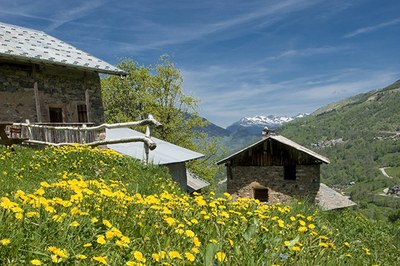 Naturschutz im Dienst der Menschen