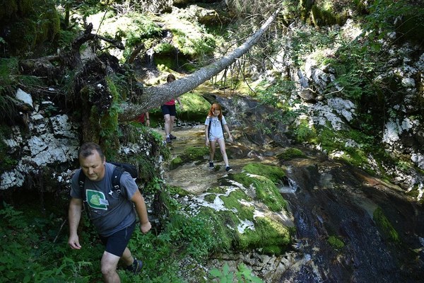 Persönliche und alpine Stärken nutzen