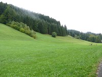 Staatlich geförderter Wachstumswahn bei Bayerns Seilbahnen und das Beispiel Grünten/Allgäu