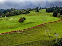 Rote Linien am Grünten im Allgäu