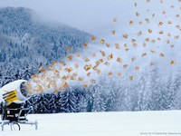 Scheinargumente und Milchmädchenrechnungen in Debatte um bayerische Seilbahnförderung