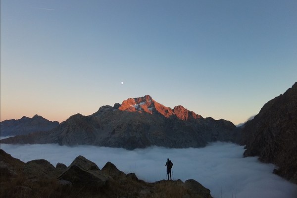 Schritt für Schritt