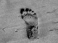 Was die Alpen von Europa wollen