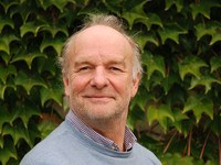 Was uns Bienen voraushaben