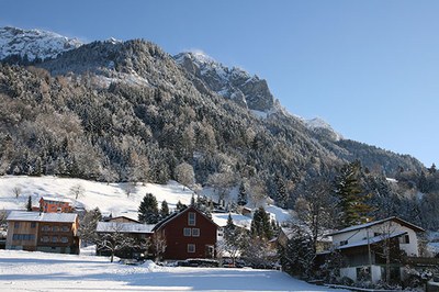 Wie intakte Ökosysteme die Lebensqualität verbessern