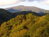 Resolution zur Rolle der lokalen Regierung und Verwaltung in der Nachhaltigen Entwicklung