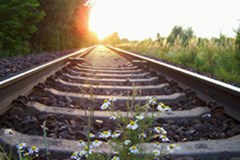 Resolution zur neuen Eisenbahn-Basistunnel-Verbindung Turin-Lyon für den Warenverkehr auf der Schiene zwischen Frankreich und Italien