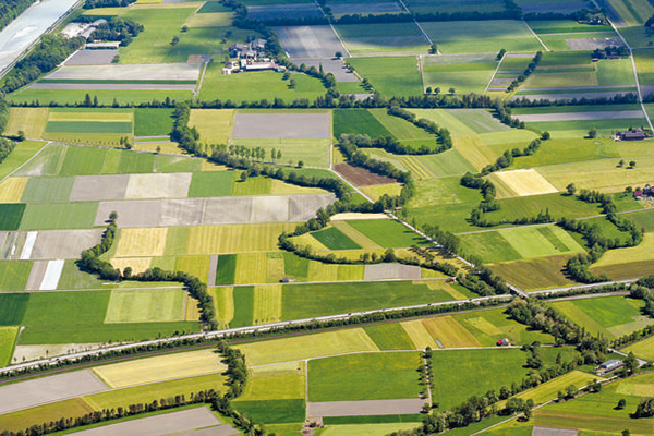 Initiative Ökologisches Kontinuum