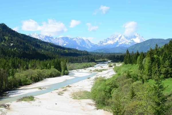 Positionspapier Energiewende