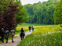 Waldbesuche im Fokus