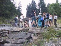 Politiken und Instrumente