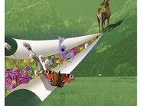 Implementing a Pan-Alpine Ecological Network