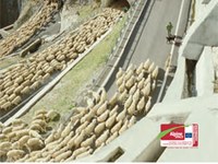 Webs of Life - Die Biodiversität im Alpenraum braucht vernetzte Naturräume