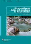 Wiederherstellung der Fischauf- und -abwanderung bei Wasserkraftwerken