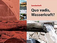 Quo vadis, Wasserkraft?