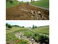 Flächenbedarf für die Erhaltung der Biodiversität und der Ökosystemleistungen in der Schweiz