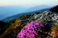 Bilanzierung des Bodenschutzprotokolls der Alpenkonvention - Endbericht liegt vor