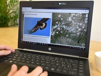 Področje delovanja: narava in človek