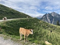 Pokrajina in kmetijstvo