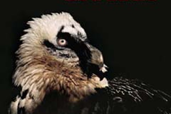 25 let mednarodnega projekta ponovne naselitve brkatega sera