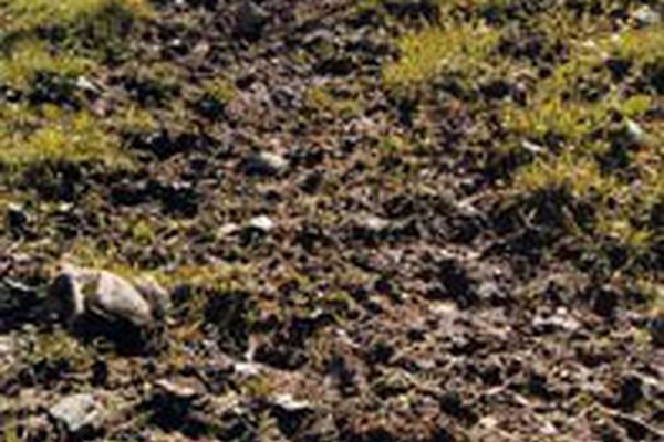 Mednarodna konferenca o erozijskih procesih