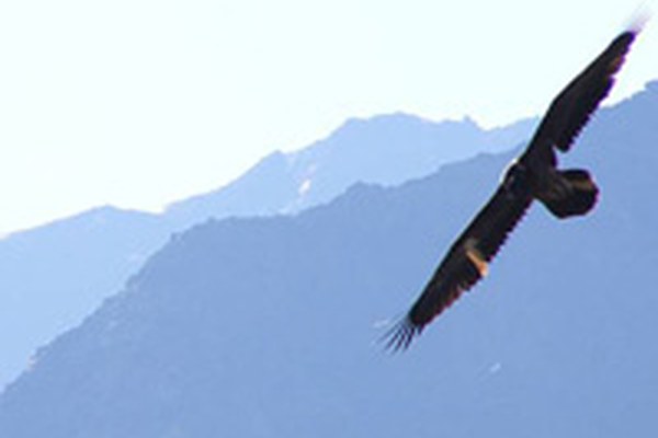 Izmenjava znanja in izkušenj o raziskovanju zavarovanih obmocij