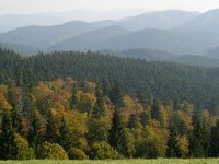 Veljati je začela Karpatska konvencija