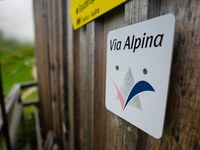 20 let daljinske pohodniške poti Via Alpina