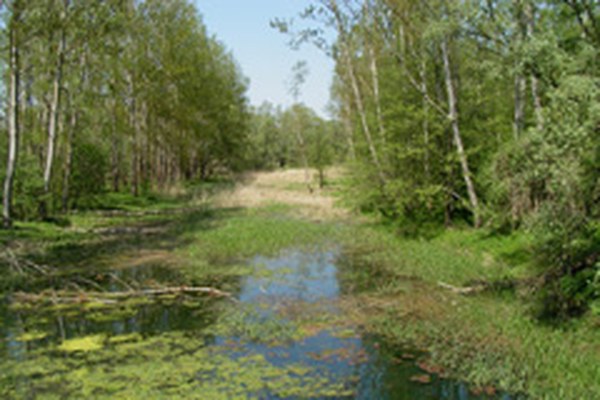 Slovenija načrtuje gradnjo verige elektrarn na Muri