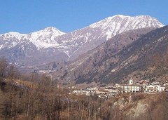 Italija: spodbujanje regionalne verige ustvarjanja dodane vrednosti lesa