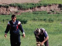 Mednarodni dan gora letos posvečen biotski raznovrstnosti