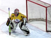 DS alpskih dežel ohranja športni duh