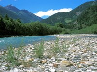 Pomanjkljivo varstvo narave v Avstriji