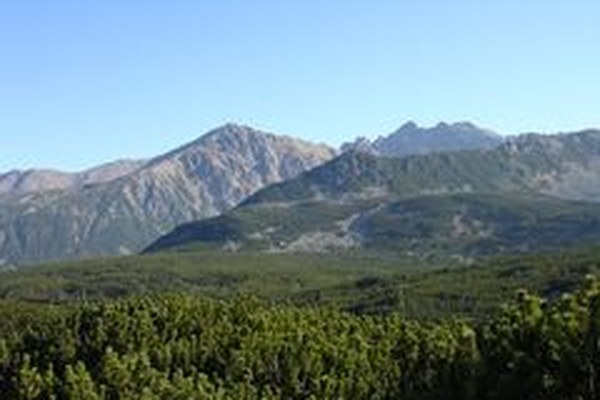 Kakovost zavarovanih območij v EU polna vrzeli