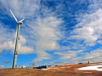 Slovenija: raba vetrne energije in varstvo ptic