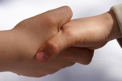 Alpe-Jadran spodbuja čezmejno rabo alternativnih energij