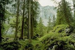 Raziskovanje posledic podnebnih sprememb