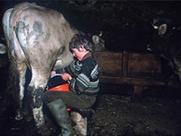 Resolucija za aktivno gorsko kmetijstvo