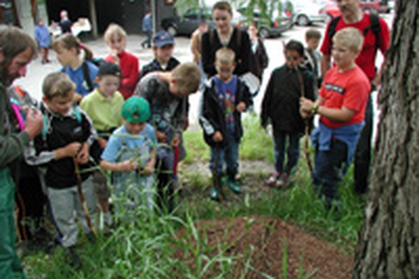 Občine članice "Povezanost v Alpah" v brošuri DS alpskih dežel "Najboljših pet"