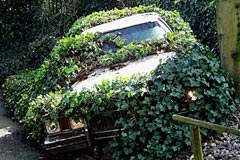 Spletne strani, zanimive za občine