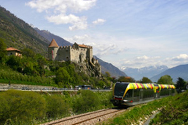 Pogumno naproti velikim ciljem - a po pravi poti