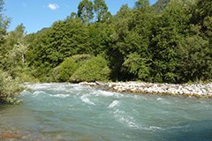 Rambach: vodna energija ali biosfera?