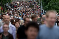 Sodelovanje namesto komolčarstva