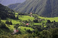 Upravljanje vasi čadrg:  vse na "štuporamo"