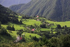 Upravljanje vasi čadrg:  vse na "štuporamo"