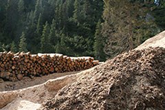 Podeljena alpska nagrada za varovalni gozd