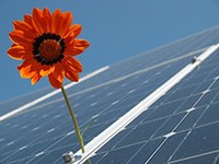 Poti, ki vodijo do uspeha  - ALPSTAR: Praktične smernice in navodila za uspešno izvajanje podnebne politike